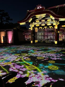 NAKED meets 二条城 2025 観月に投稿された画像（2025/4/4）