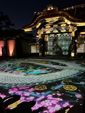 NAKED meets 二条城 2025 観月に投稿された画像（2025/4/4）