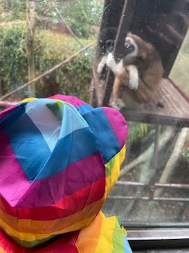 恩賜上野動物園に投稿された画像（2025/4/4）