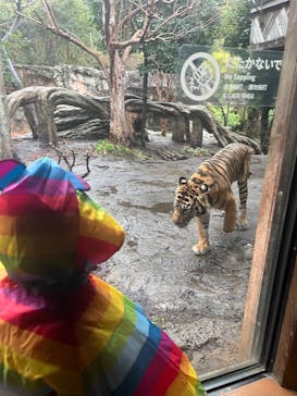 恩賜上野動物園に投稿された画像（2025/4/4）