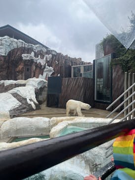 恩賜上野動物園に投稿された画像（2025/4/4）