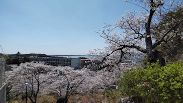 浜名湖パルパルに投稿された画像（2025/4/4）