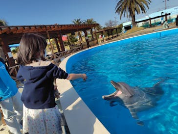 南知多ビーチランド＆南知多おもちゃ王国に投稿された画像（2025/4/4）