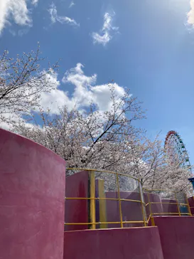 ひらかたパークに投稿された画像（2025/4/4）