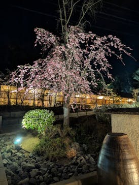 NESTA RESORT KOBE（ネスタリゾート神戸）に投稿された画像（2025/4/4）