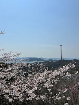 ブラジリアンパーク鷲羽山ハイランドに投稿された画像（2025/4/4）