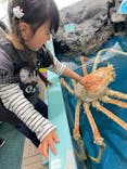 竹島水族館に投稿された画像（2025/4/4）