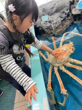 竹島水族館に投稿された画像（2025/4/4）
