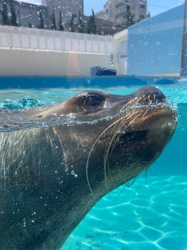 竹島水族館に投稿された画像（2025/4/4）