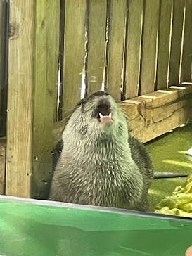 竹島水族館に投稿された画像（2025/4/4）