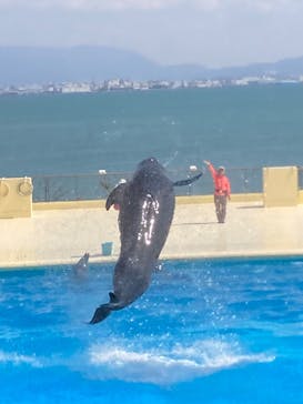 マリンワールド海の中道に投稿された画像（2025/4/4）