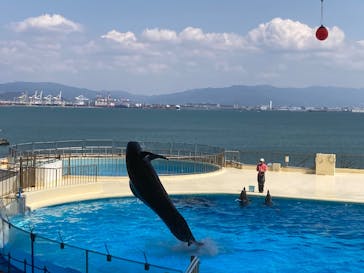 マリンワールド海の中道に投稿された画像（2025/4/4）