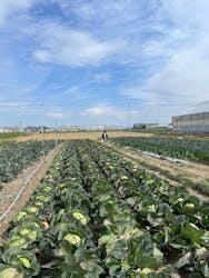 お陽様農園に投稿された画像（2025/4/4）