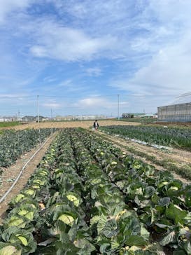 お陽様農園に投稿された画像（2025/4/4）