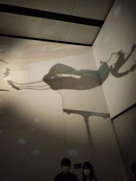 金曜ロードショーとジブリ展　三重展に投稿された画像（2025/4/4）