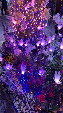 ひらかたパークに投稿された画像（2025/4/4）