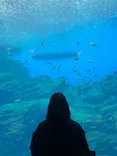 仙台うみの杜水族館に投稿された画像（2025/4/5）