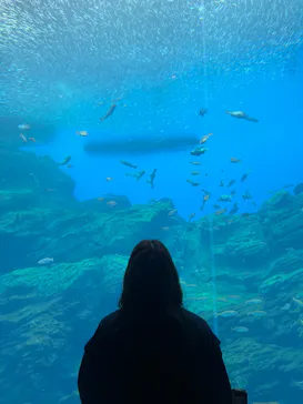 仙台うみの杜水族館に投稿された画像（2025/4/4）