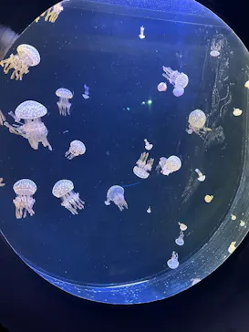 仙台うみの杜水族館に投稿された画像（2025/4/4）