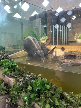 NIFREL（ニフレル）に投稿された画像（2025/4/4）