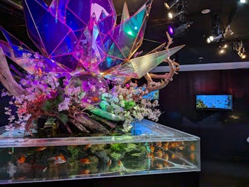 NARA KINGYO MUSEUMに投稿された画像（2025/4/4）