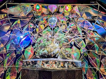 NARA KINGYO MUSEUMに投稿された画像（2025/4/4）