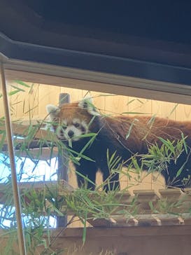 名古屋市東山動植物園に投稿された画像（2025/4/4）