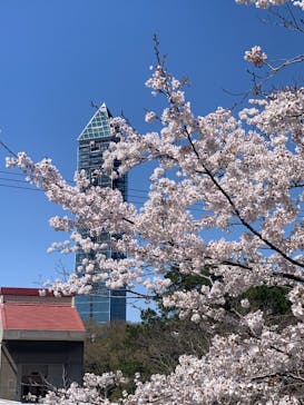 名古屋市東山動植物園に投稿された画像（2025/4/4）