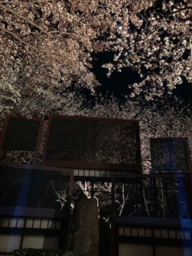 ニジゲンノモリに投稿された画像（2025/4/4）