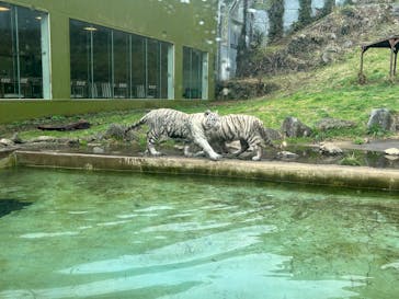 伊豆アニマルキングダムに投稿された画像（2025/4/5）