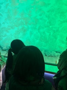 アクアワールド茨城県大洗水族館に投稿された画像（2025/4/5）