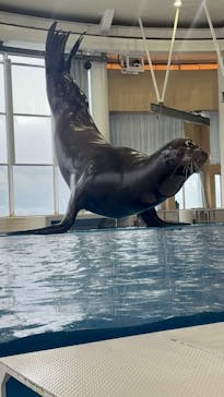 アクアワールド茨城県大洗水族館に投稿された画像（2025/4/5）