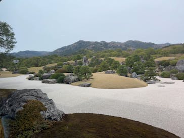 足立美術館に投稿された画像（2025/4/5）