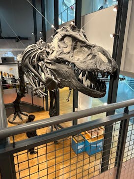 福井県立恐竜博物館に投稿された画像（2025/4/5）
