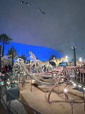 福井県立恐竜博物館に投稿された画像（2025/4/5）