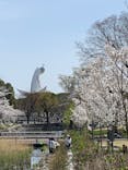 万博記念公園に投稿された画像（2025/4/5）