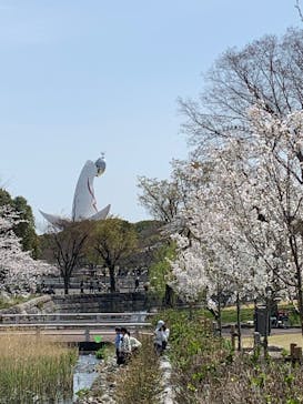 万博記念公園に投稿された画像（2025/4/5）