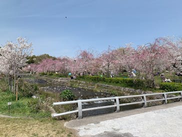 万博記念公園に投稿された画像（2025/4/5）