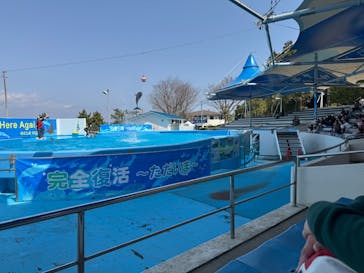 のとじま水族館に投稿された画像（2025/4/5）