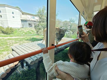 東京動物園協会_多摩動物公園に投稿された画像（2025/4/5）