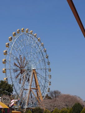 東武動物公園に投稿された画像（2025/4/5）