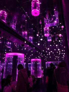 マクセル アクアパーク品川に投稿された画像（2025/4/5）