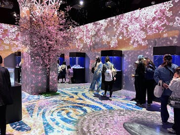 マクセル アクアパーク品川に投稿された画像（2025/4/5）