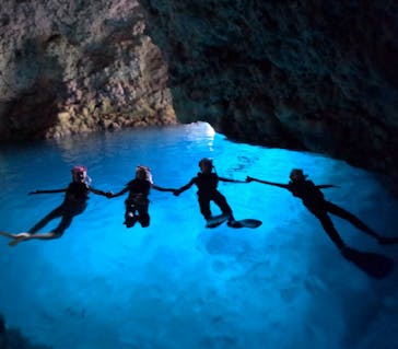 武藤潜水に投稿された画像（2025/4/5）
