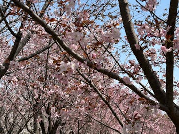 名古屋市東山動植物園に投稿された画像（2025/4/5）