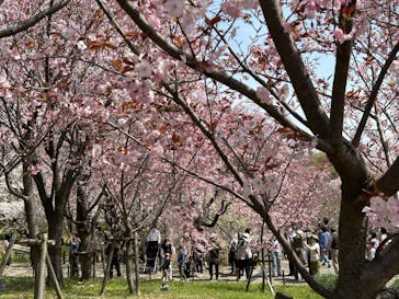 名古屋市東山動植物園に投稿された画像（2025/4/5）