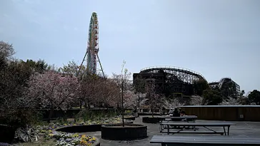 ひらかたパークに投稿された画像（2025/4/5）