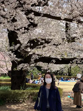 新宿御苑に投稿された画像（2025/4/5）