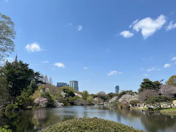 新宿御苑に投稿された画像（2025/4/5）