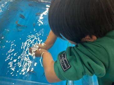 越前松島水族館に投稿された画像（2025/4/5）